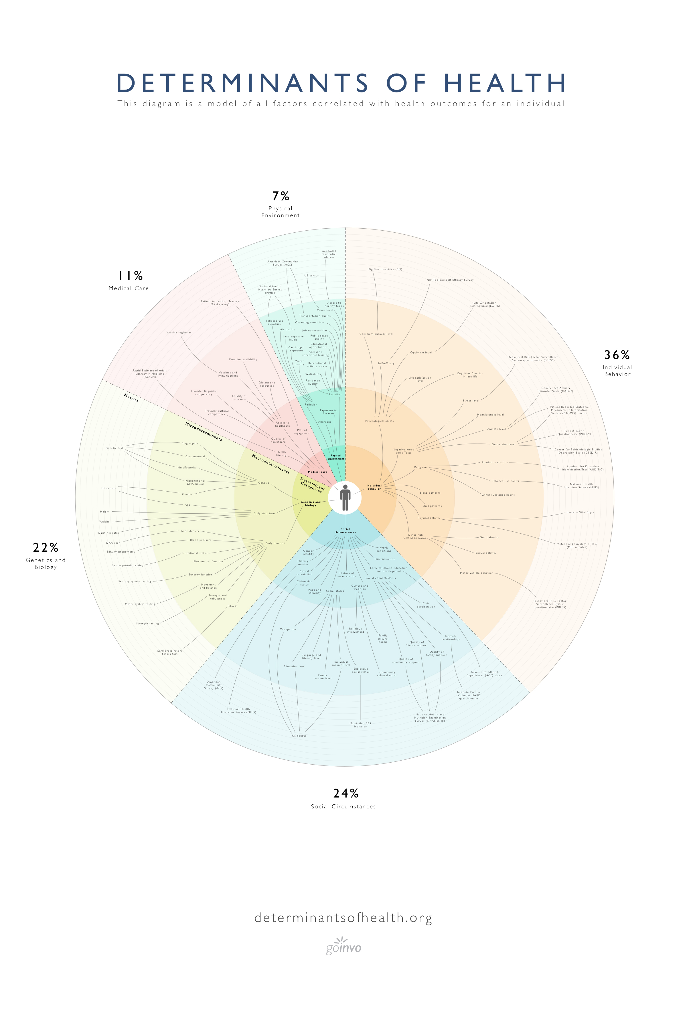 Determinants of Health infographic showing breakdown: 36% Behavior, 24% Social Circumstances, 22% Genetics and Biology, 11% Medical Care, 7% Physical Environment